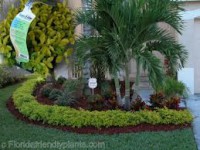 /album/fotogaleria-jardineria-y-paisajismo/images-jpg1/